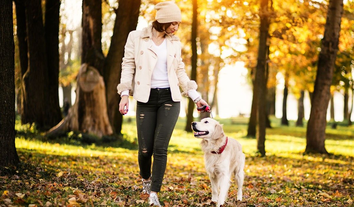 girl-with-dog-at-fall